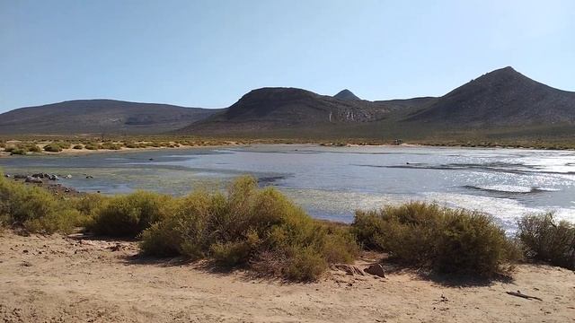 Afternoon Safari / Game Drive 1 at Aquila Game Reserve, near Cape Town, South Africa 2022 смотреть онлайн