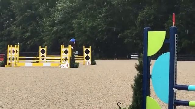 Narco Brave Horse 3 CHAMPION смотреть онлайн