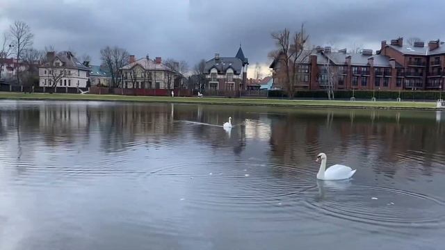 Путешествие по Калининграду