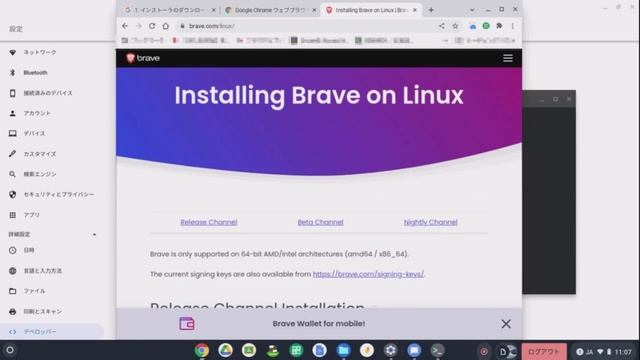 【最強】【Linux】学校のパソコン(Chromebook)のブロックを解除する方法【自己責任でお願いします】【概要欄にもコマンド置いてます】 смотреть онлайн