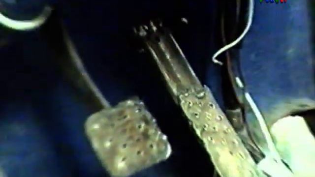 ERNESTO Y OTTO STUBBE-PREPARACION DE AUTO PARA SAFARI REG. 1996 смотреть онлайн