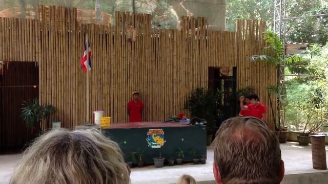 Namuang Safari Park 14 смотреть онлайн