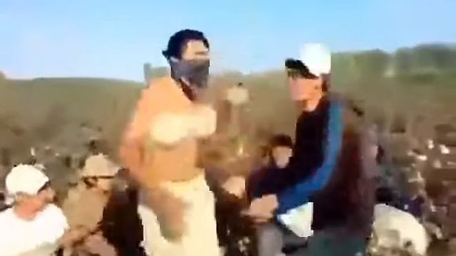 Таджикский идус смотреть онлайн