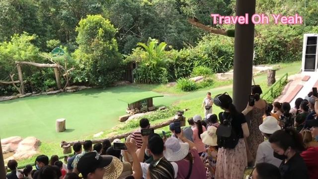 Xiếc thú vui nhộn ở Vinpearl Safari Phú Quốc || Funny animal circus in Vinpearl Safari, Phu Quoc, V смотреть онлайн