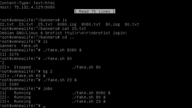 A very simple honeypot смотреть онлайн