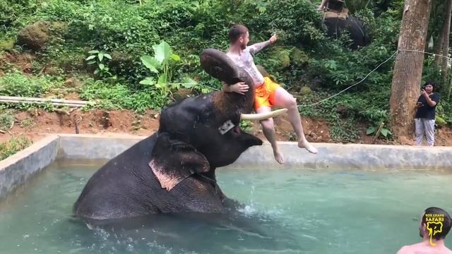 ShowerWithElephant смотреть онлайн