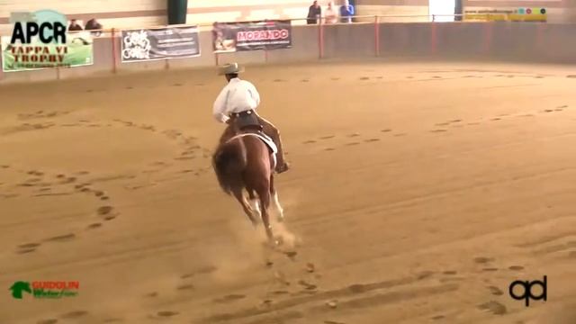 NRHA AUTUMN REIN APCR 2018 - CAPELLO MATTEO sul suo RS MOON FEO JAC con score 73 смотреть онлайн