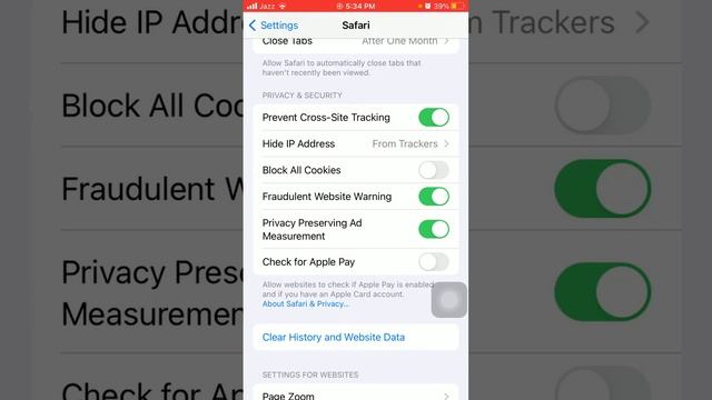 Block all cookies in Safari 2024 || How to block all cookies || How to disable all cookies iOS 17 смотреть онлайн