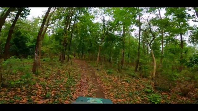 DOOARS JUNGLE SAFARI TOUR | GORUMARA NATIONAL PARK | DOOARS TOUR GUIDE | GYPSY SAFARI |JUNGLE SAFAR смотреть онлайн