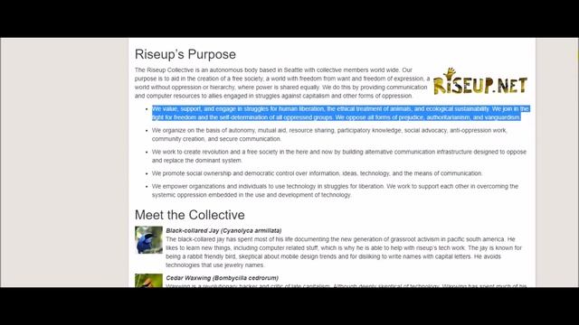 Mozilla Funding Antifa Anarcho Communists RisUp & Other Revolutionary Domestic Terrorists смотреть онлайн