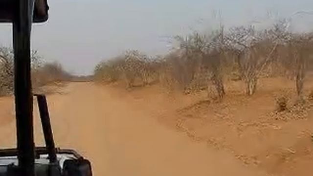 Botswana Land Safari смотреть онлайн