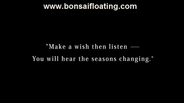 how do floating bonsai trees work missouri department смотреть онлайн
