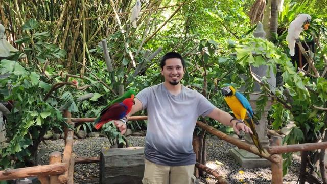 Parrot Holding: The Amazing Taman Safari Bali -- Bali, Indonesia смотреть онлайн