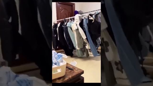 обхохочешься.mp4 смотреть онлайн