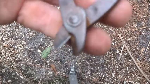 WD 40 Rust Remover - WD40 Uses