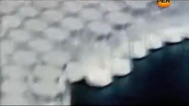 Обманутые наукой (часть 1) 03.2012 г. смотреть онлайн