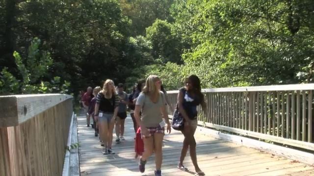 RU B.R.A.V.E. Experience смотреть онлайн