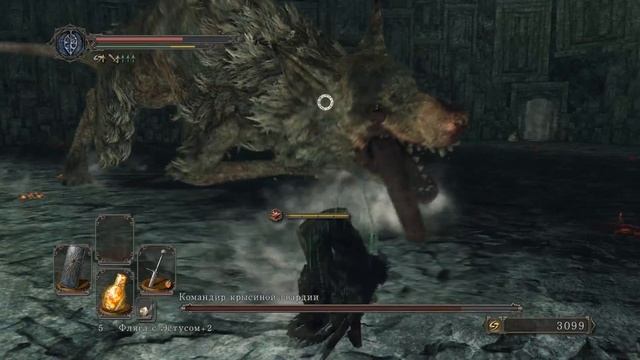 14 - Dark Souls II: Scholar of the First Sin - Командир Крысиной Гвардии смотреть онлайн