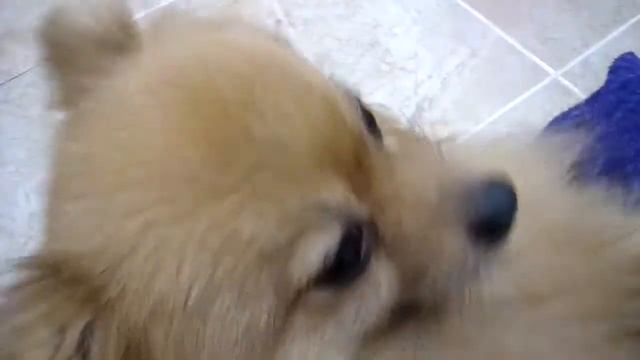 установили кухню