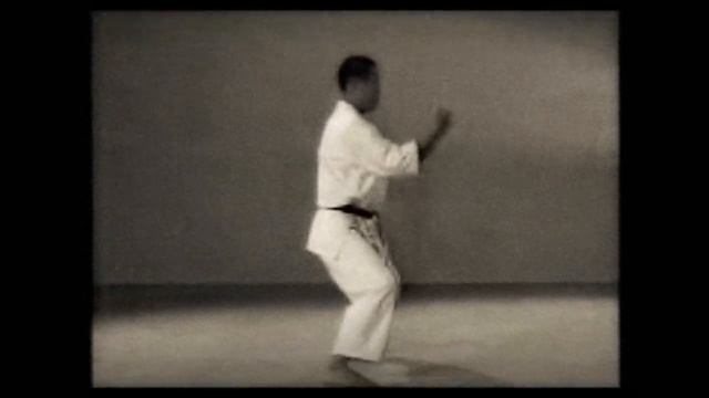 19 Каратэ. Наследие Накаямы. Ката Ганкаку