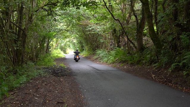 V&H Twin Slash vs Eliminator 300 Slipons Comparison. Which Vance & Hines slip on exhaust is loudest смотреть онлайн