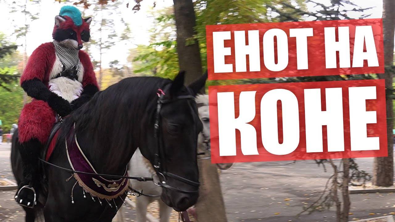 ФУРРИ прогулка в Алматы . Реакция людей на ФУРСЬЮТЫ