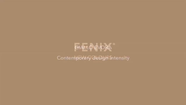 Fenix NTM смотреть онлайн