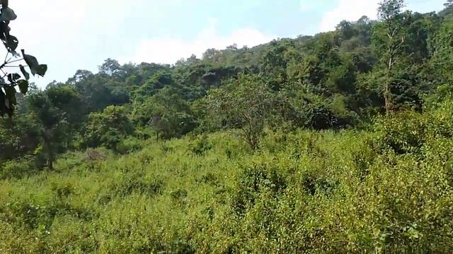 SVG Andhra Sabarimala смотреть онлайн