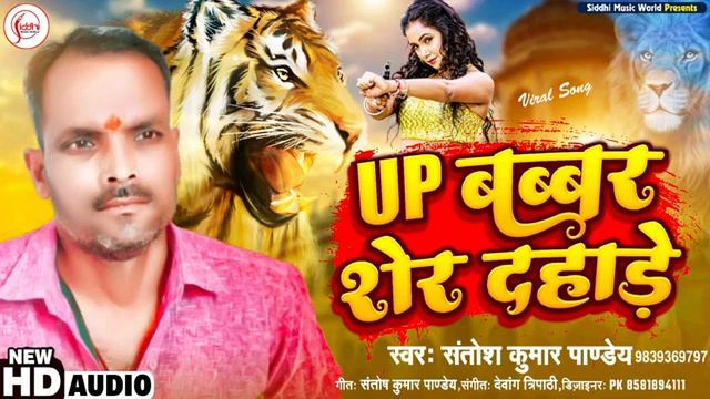 fortuner aur safari ak se ak rayfal dhari Dekha babbar sher dhade ho смотреть онлайн