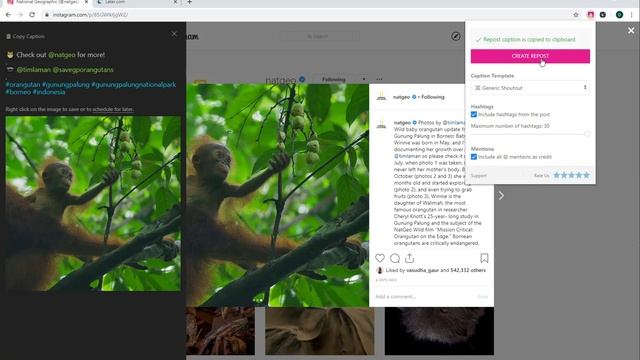Regram Later Chrome Extension - Instagram Repost for Later (Marketing Platform) смотреть онлайн