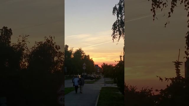 Сокол Вологодской обл 3 августа 2022 г. смотреть онлайн