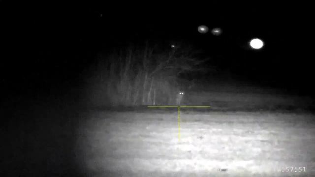 Охота на шакала смотреть онлайн