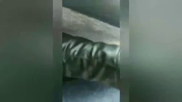 Плюсы и минусы ВАЗ 2110. История владения за 3 года. смотреть онлайн