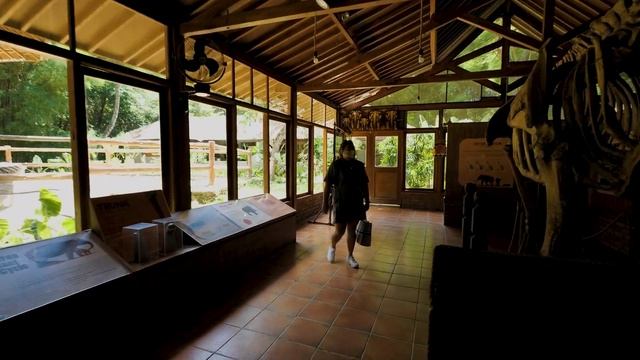 STAYCATION DI BALI SAFARI!!! MARA RIVER SAFARI LODGE!!! HOTEL UNIK WAJIB COBA DI BALI!!! смотреть онлайн