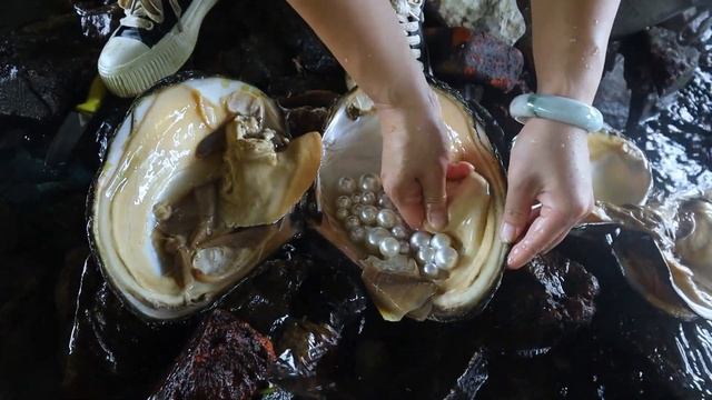 The brave action of the girl captured the most beautiful pearls in the underwater world смотреть онлайн