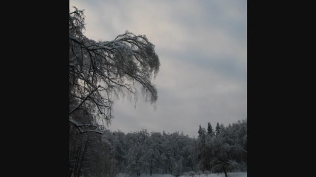 Снежная зарисовка в Коломенском. "1-11.01.11" смотреть онлайн