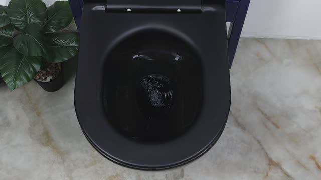 Stella смотреть онлайн