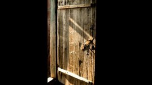 Дверь в прошлое