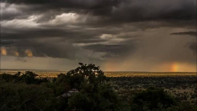 Serengeti Simba Lodge смотреть онлайн