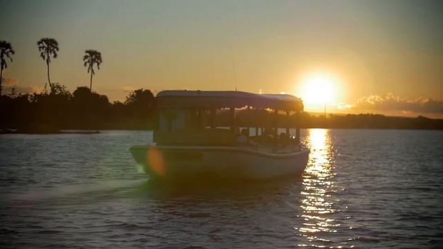 Here's why you should choose Jenman for your next African safari смотреть онлайн