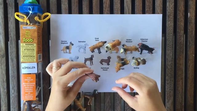 Safari Ltd. Toob - Dogs / Köpekler смотреть онлайн