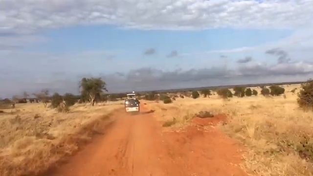 Safaris Trails Kenya ( Salt Lick Lodge in Taita) смотреть онлайн