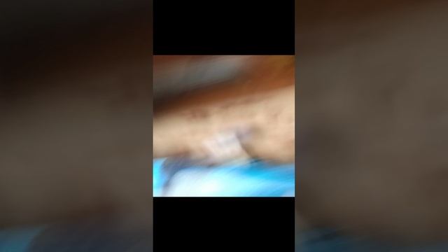1000009154.Тимофей. смотреть онлайн