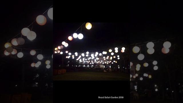 Royal Safari Garden 2018 смотреть онлайн