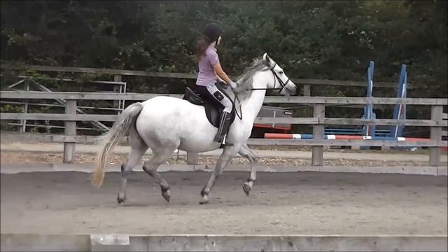 The Reckless And The Brave~teaching pearl Bounce Jumps BLOOPERS INCLUDED смотреть онлайн