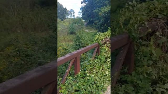 We found a creepy bridge in the middle of nowhere! #bridge #malinois #creepy #dogwalk #adventure смотреть онлайн