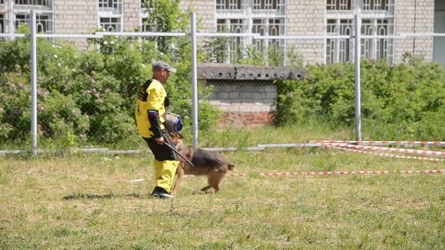 Yakudza vom Safari Land Кострома 16.06.19 Поливанов М. смотреть онлайн