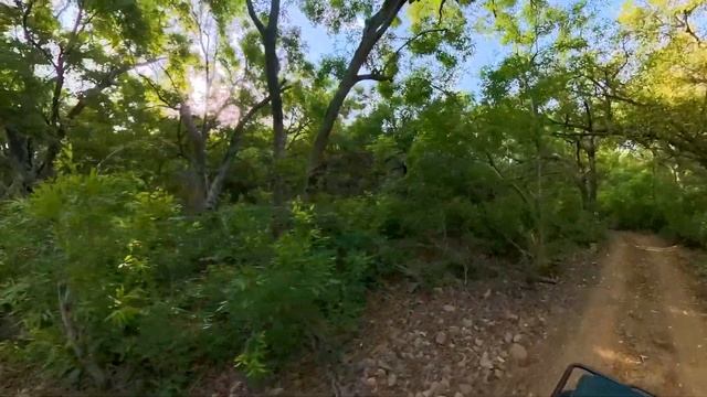 Ranthambore Jungle Safari | Trip 4 | Spotted Two Tigress, One Tiger | Zone 4 | Zone 10 смотреть онлайн