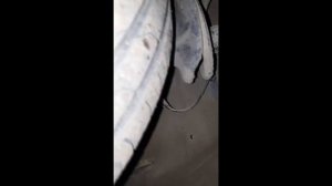 RAVON R3 - Ошибка С0040 датчик АБС