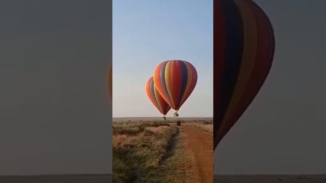 Experience a Balloon Safari with us at Masai mara national Reserve смотреть онлайн
